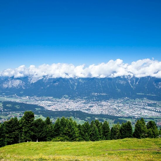 Sommerwiese auf einem Berg mit Blick auf Innsbruck