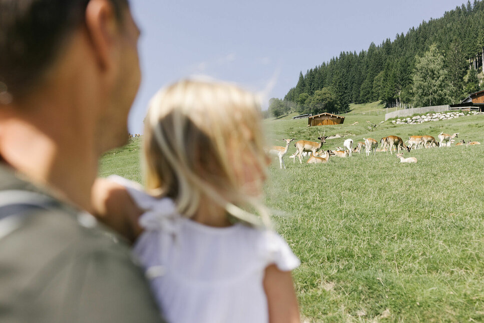 Wildpark Aurach – Tiere hautnah erleben