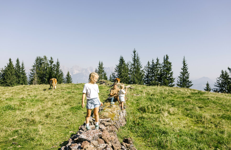 Mädchen spielt auf einer Wiese