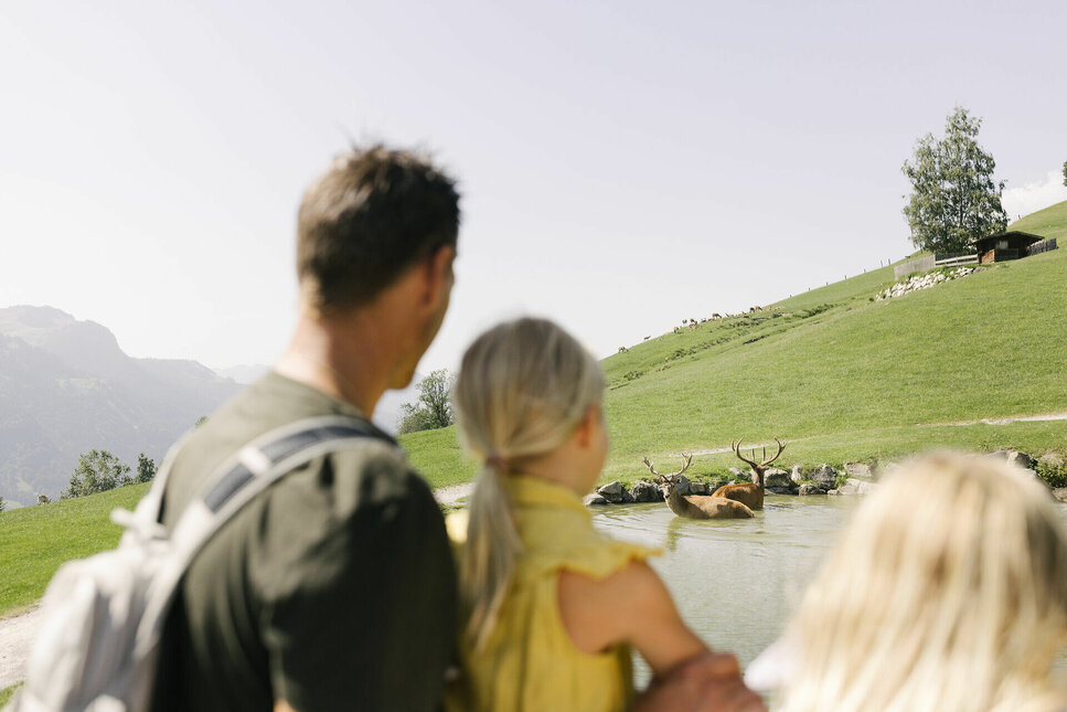 Wildpark Aurach mit der Familie entdecken
