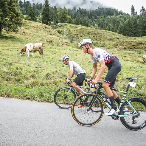 Ein weißer Flurbereich mit einer offenen Garderobe, Kissen und einem kleinen schwarzen Schild