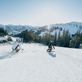 2 Skifahrer auf der Piste