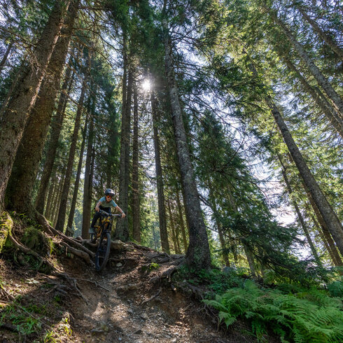 Ein weißer Flurbereich mit einer offenen Garderobe, Kissen und einem kleinen schwarzen Schild