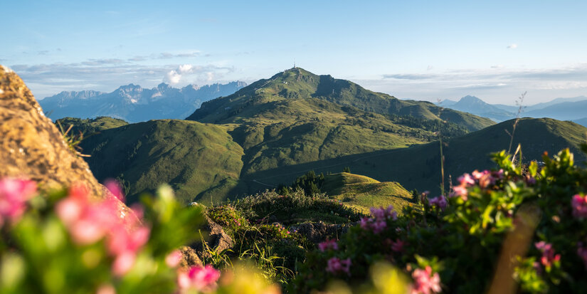 Ein weißer Flurbereich mit einer offenen Garderobe, Kissen und einem kleinen schwarzen Schild