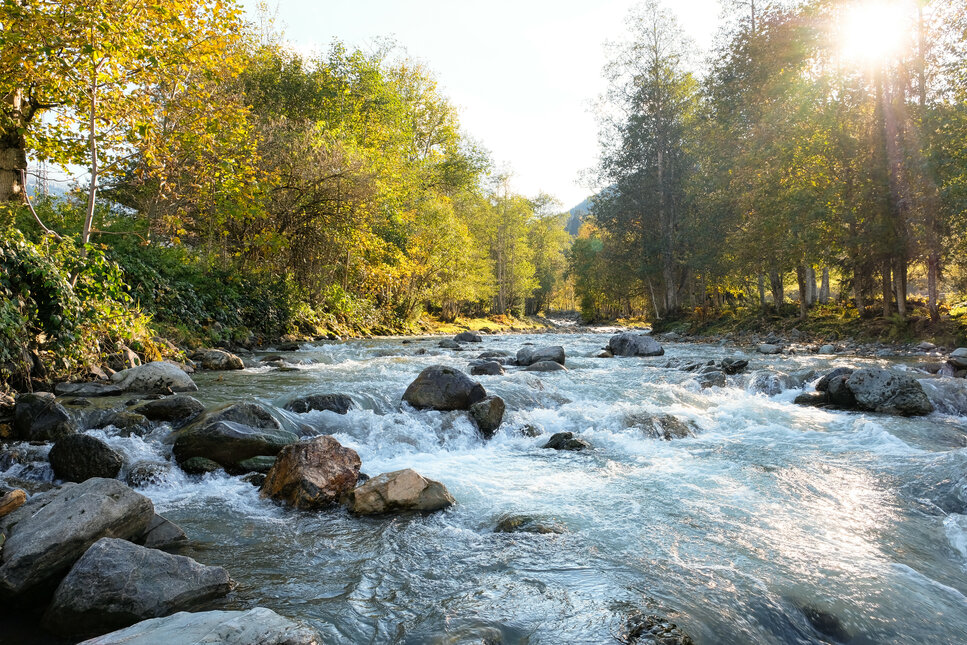 Fluss in Jochberg mit Bäumen und Sonnenschein