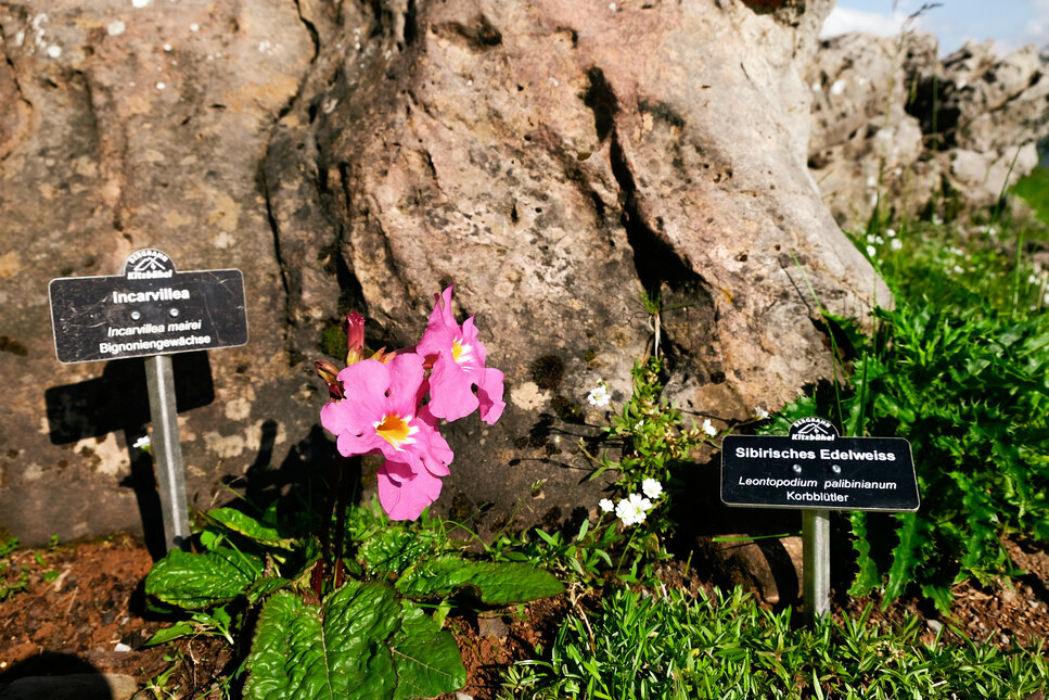 Ein weißer Flurbereich mit einer offenen Garderobe, Kissen und einem kleinen schwarzen Schild