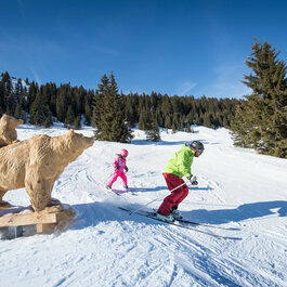 Bärenland in Jochberg