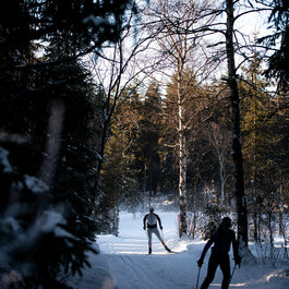 Langlaufkurse in Kitzbühel