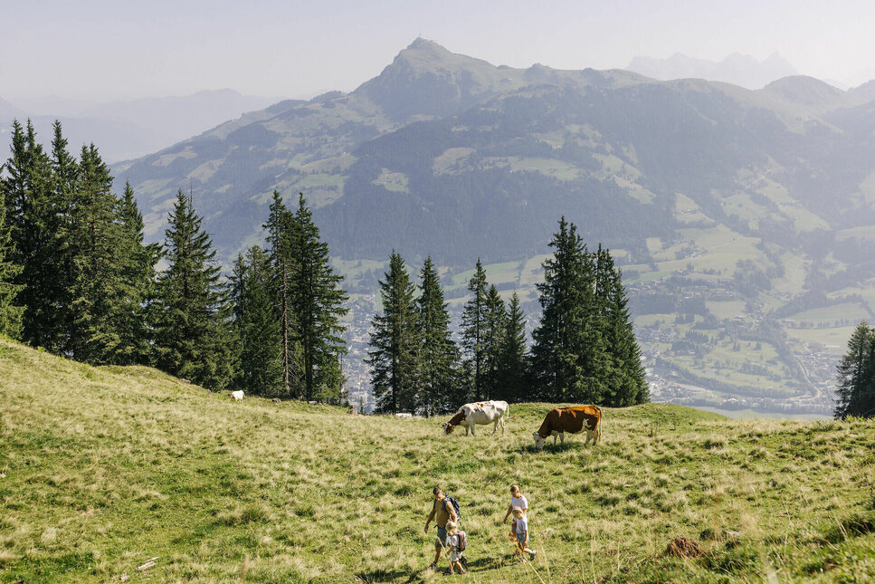 Die Streif im Sommer erwandern – wo im Winter Legenden starten