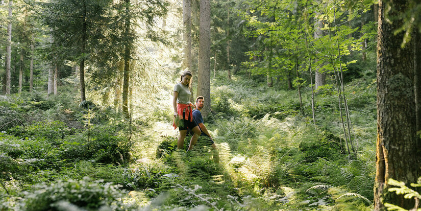 Zwei Personen wandern im Wald