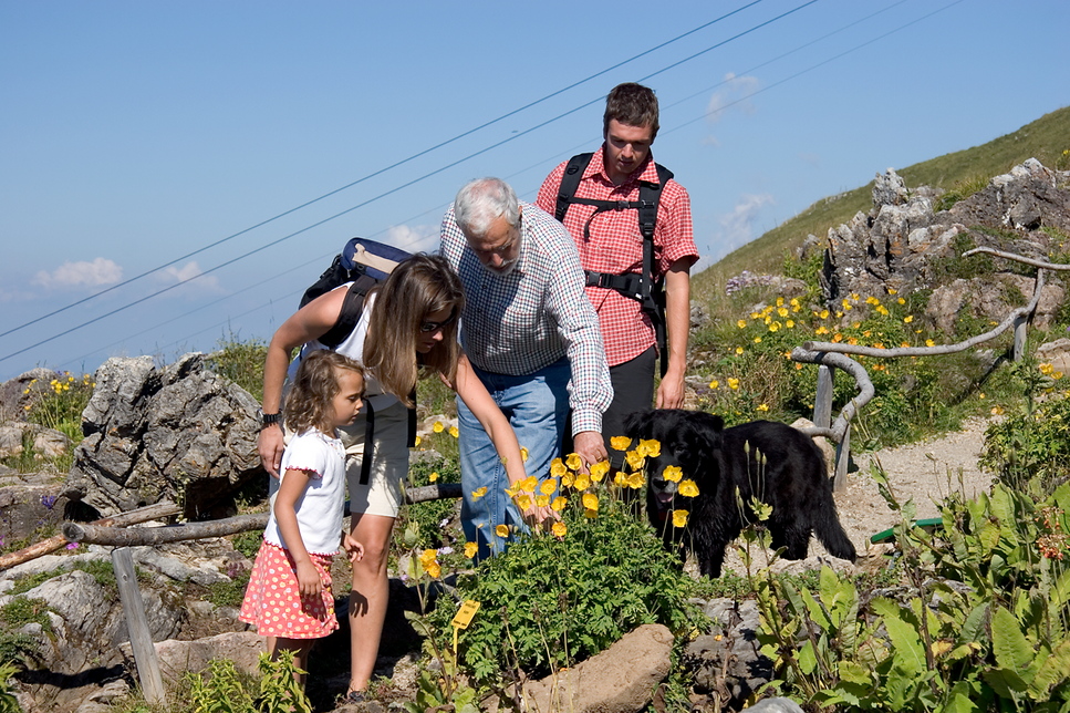 Alpenblumengarten in Kitzbühel