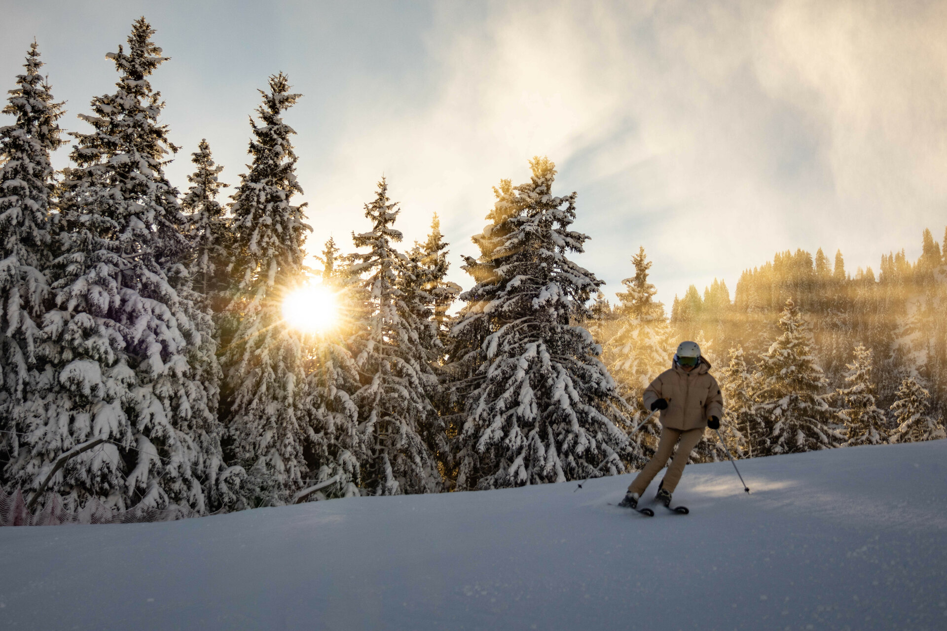 Ein Skifahrer auf der Piste, im Hintergrund sind Bäume zu sehen