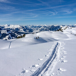Skitourenspüren in der Schnee